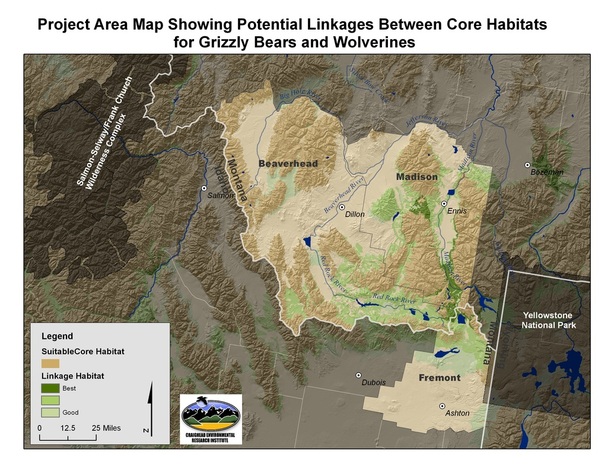 Map: linkages between core habitats for grizzly bears and wolverines